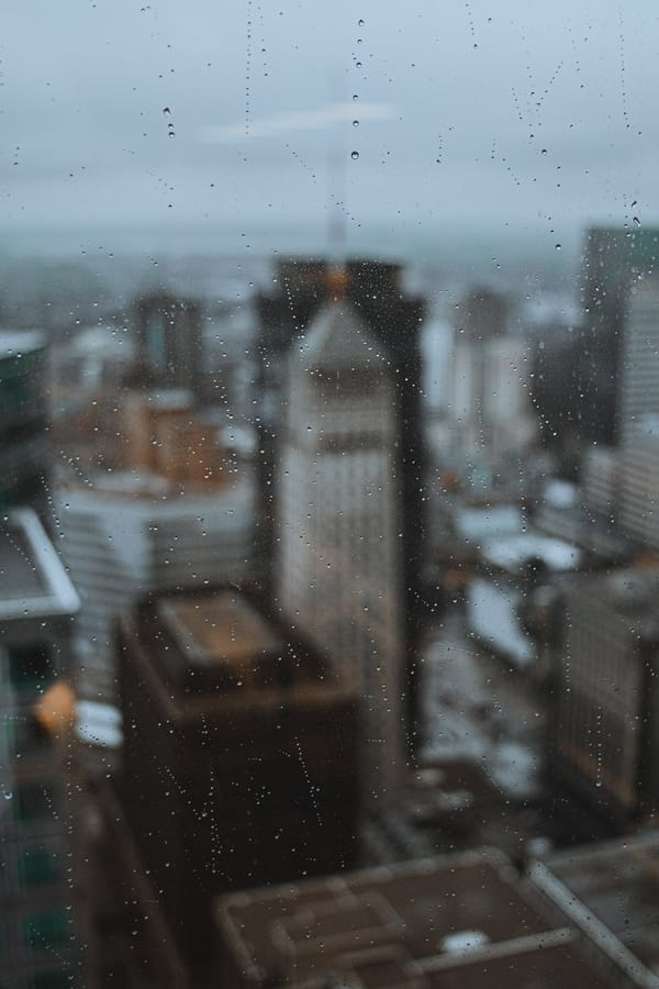 Обои