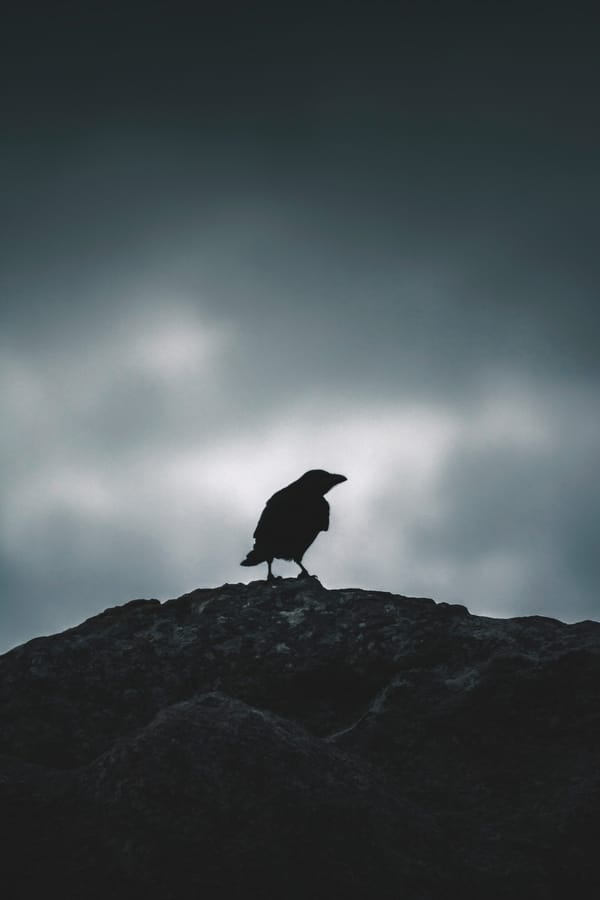 Обои