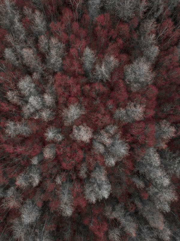 Обои