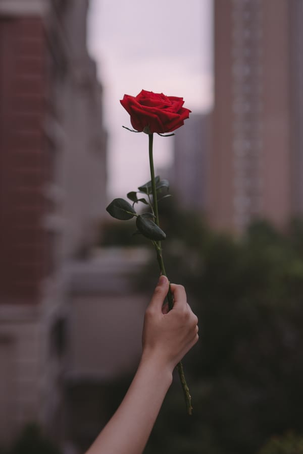 Обои