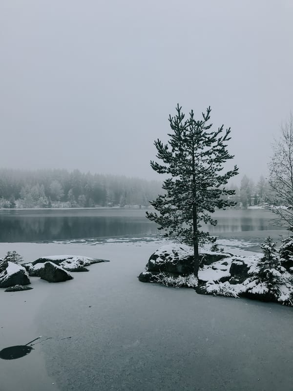 Обои