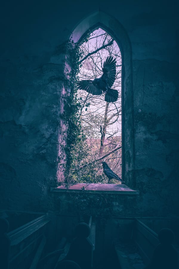 Обои