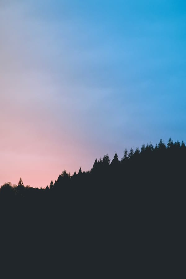 Обои