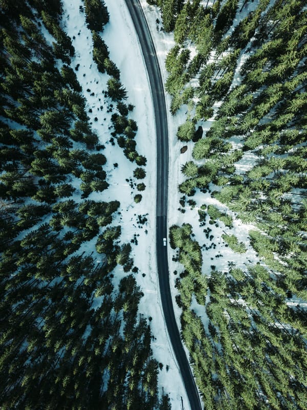 Обои