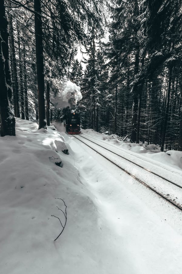 Обои
