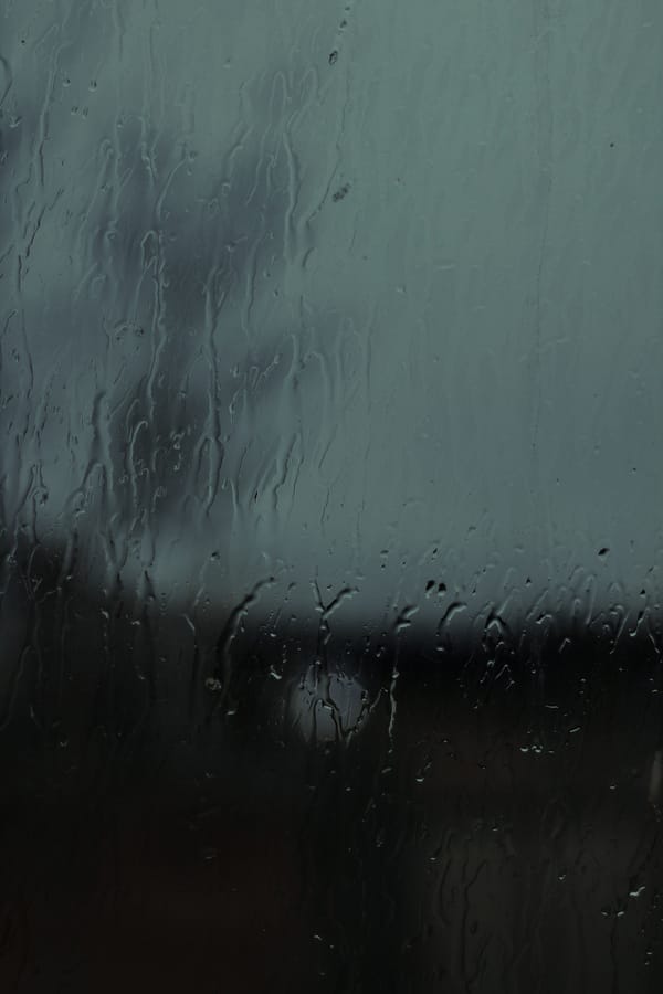 Обои