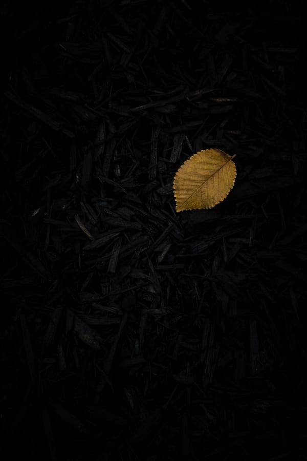 Обои
