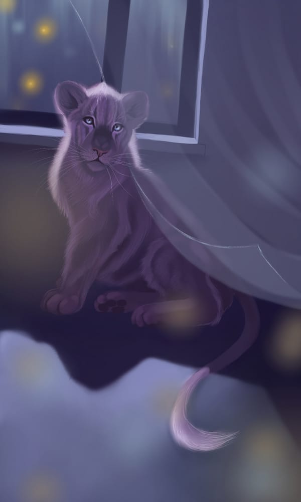 Обои