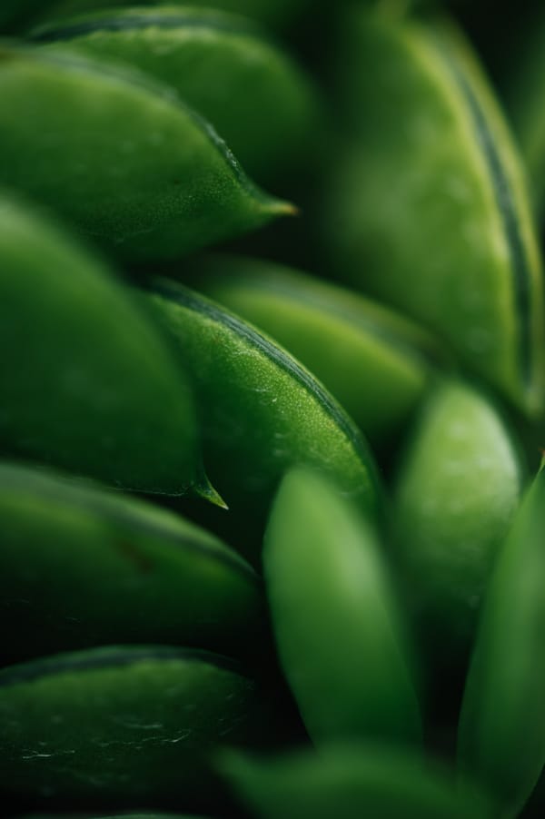 Обои