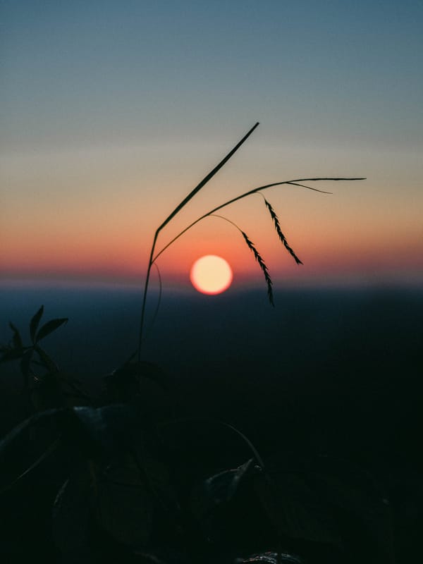 Обои