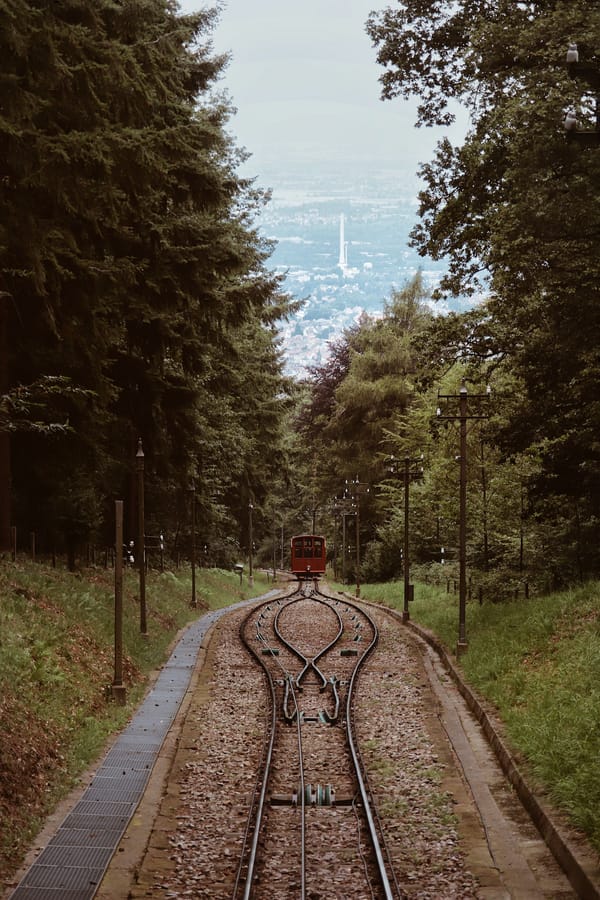 Обои