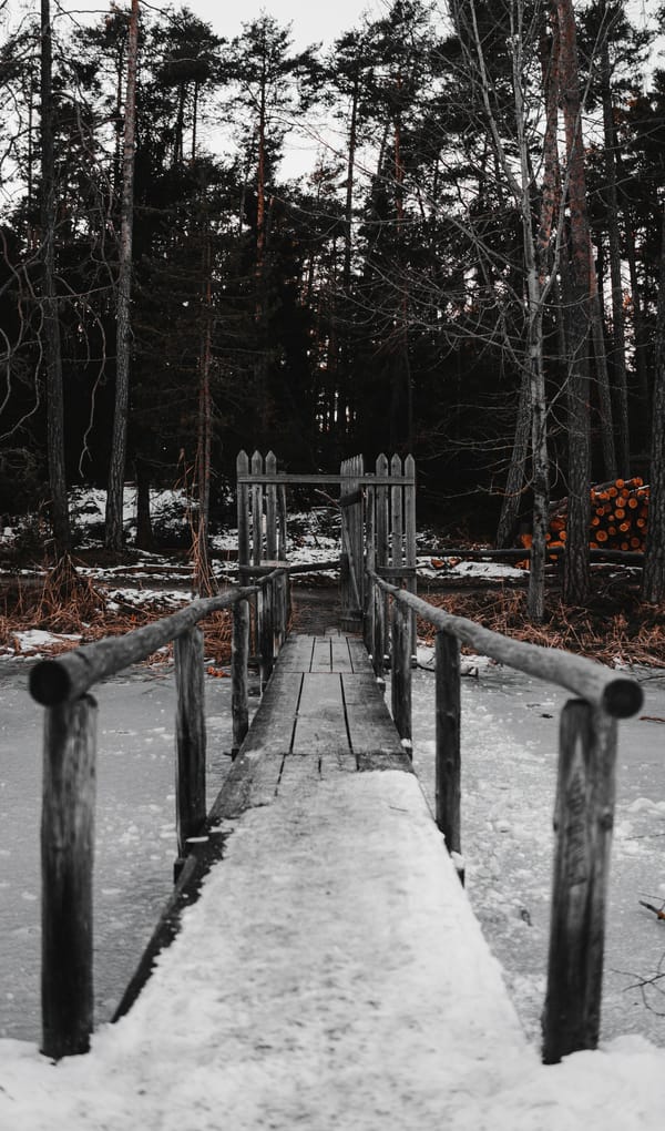 Обои