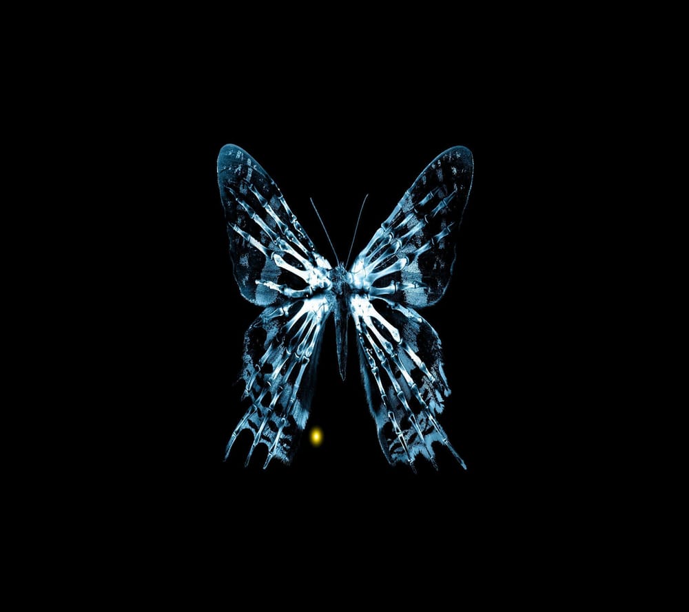 Обои