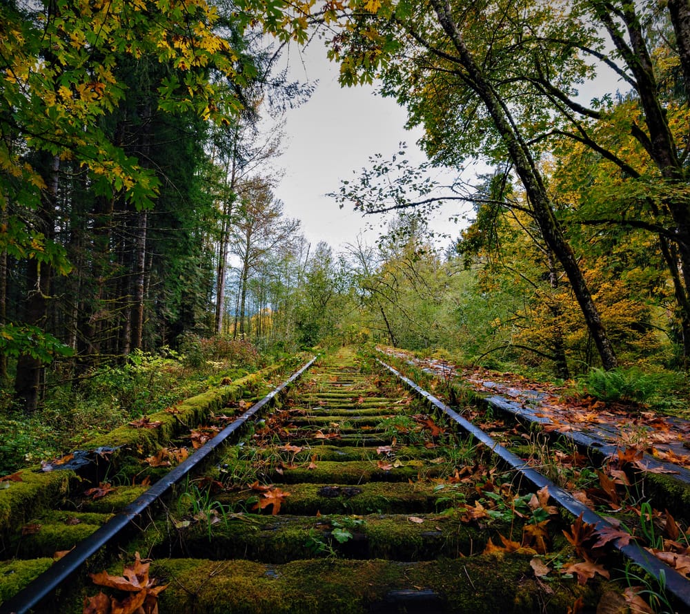 Обои