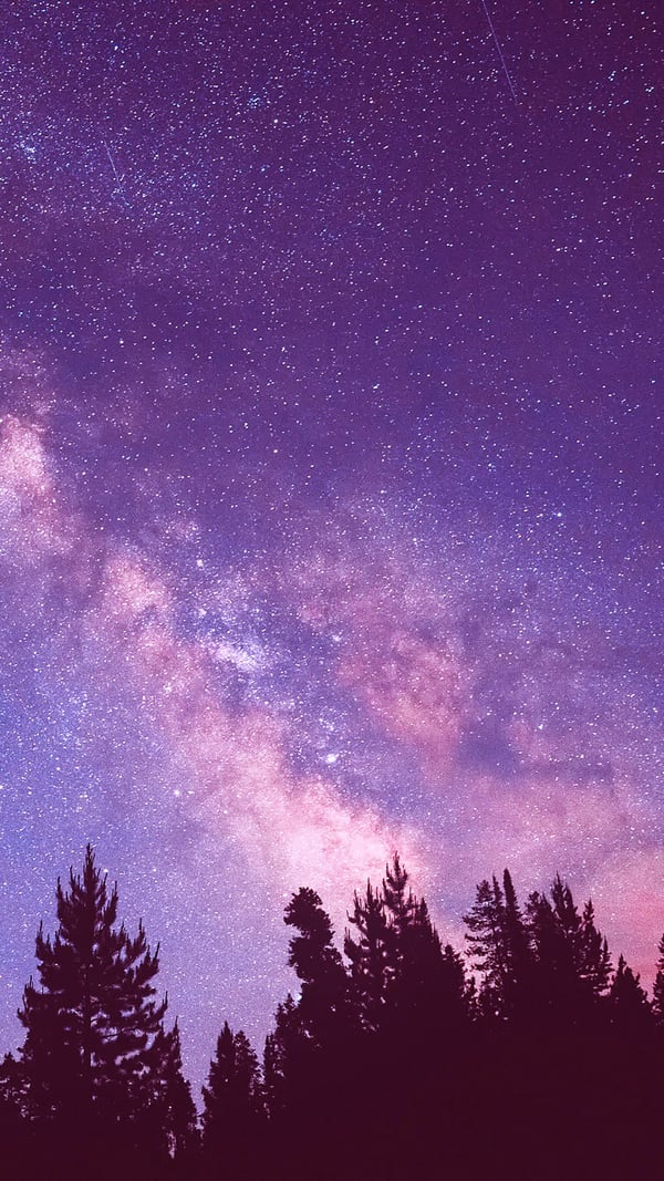 Обои