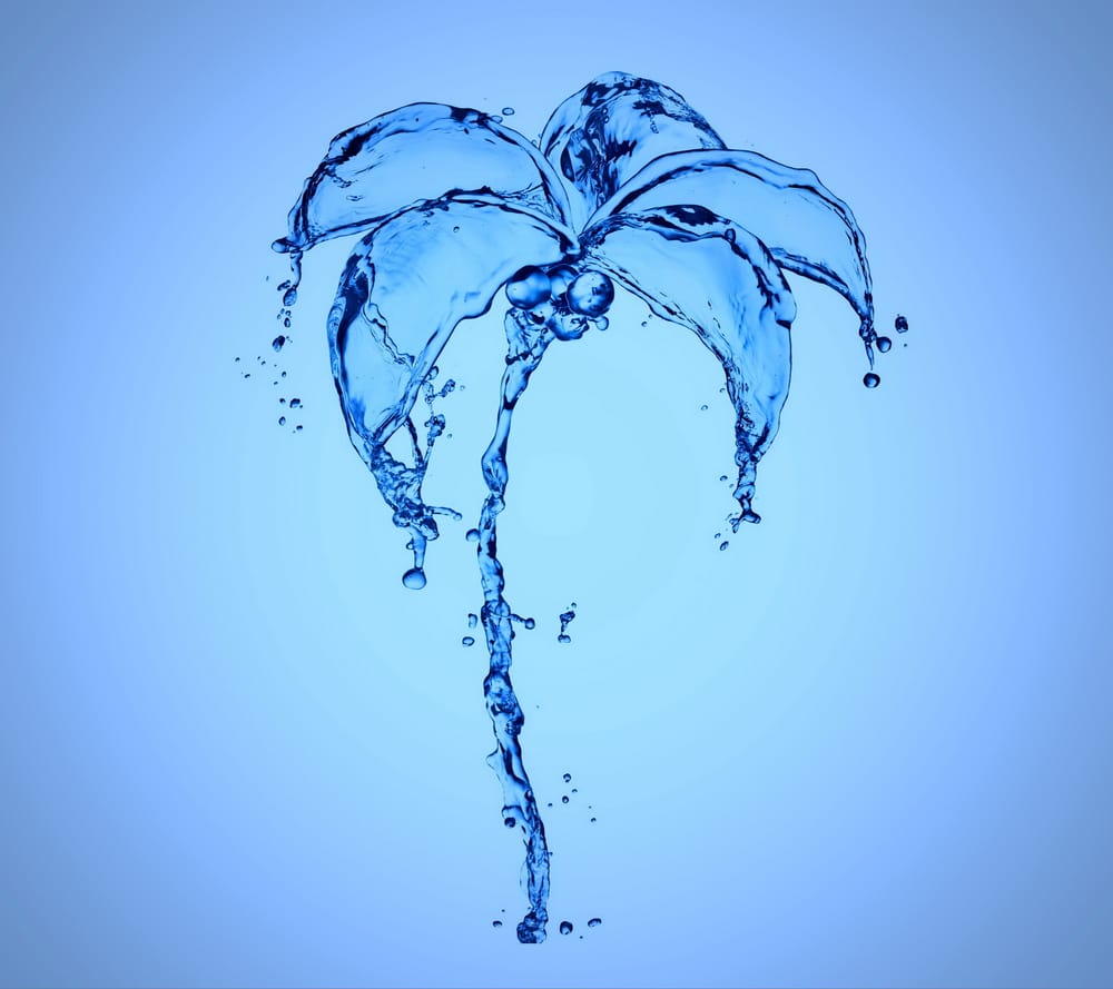 Обои