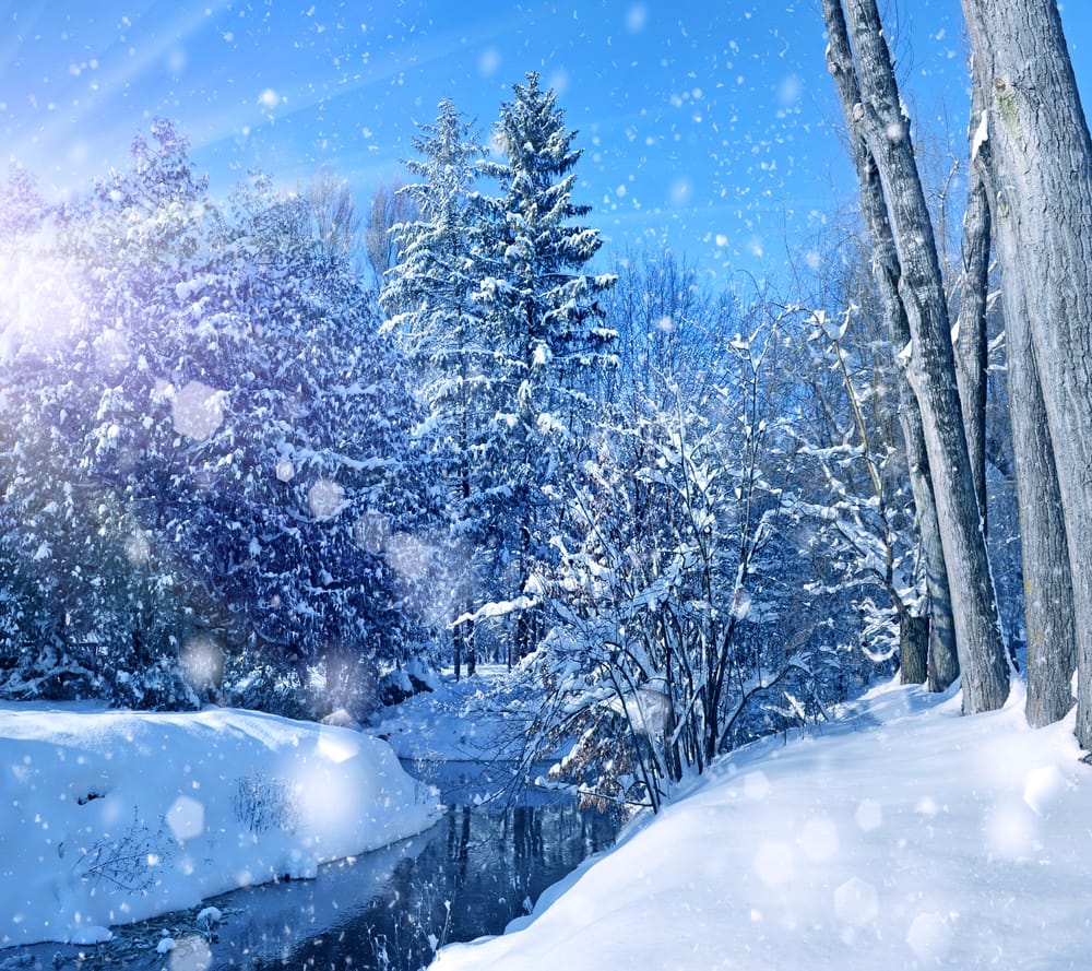 Обои