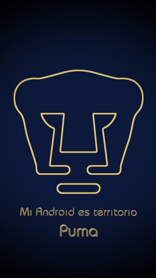 Обои