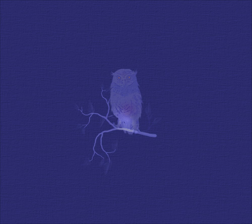 Обои