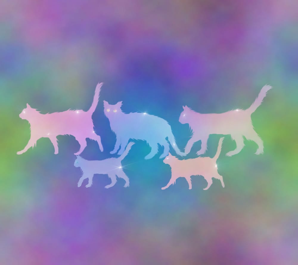 Обои