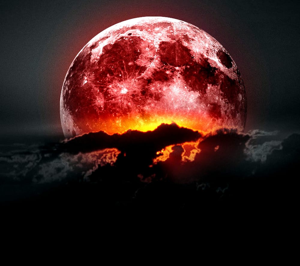 Обои