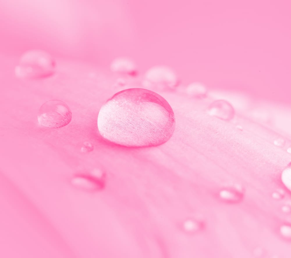 Обои