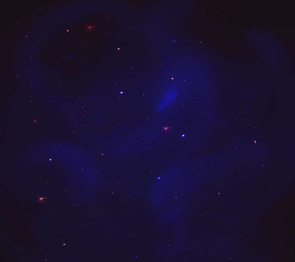 Обои