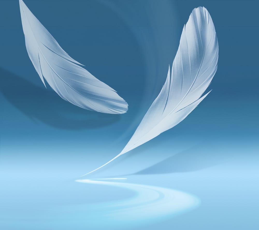 Обои