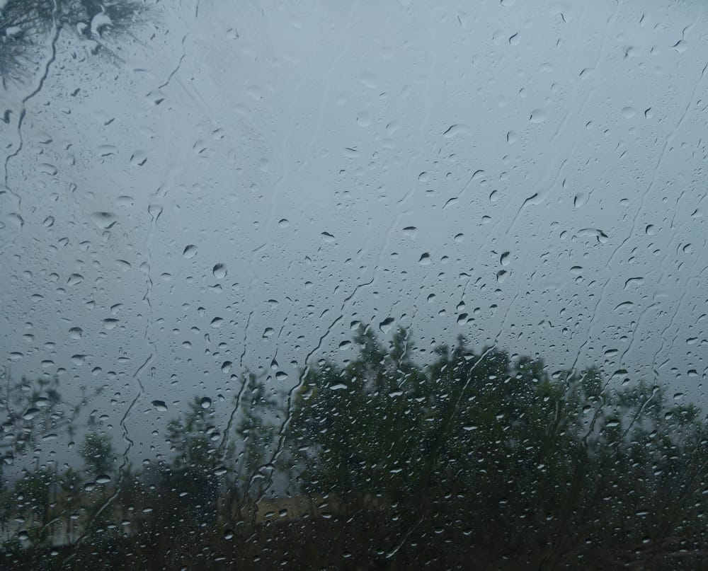 Обои