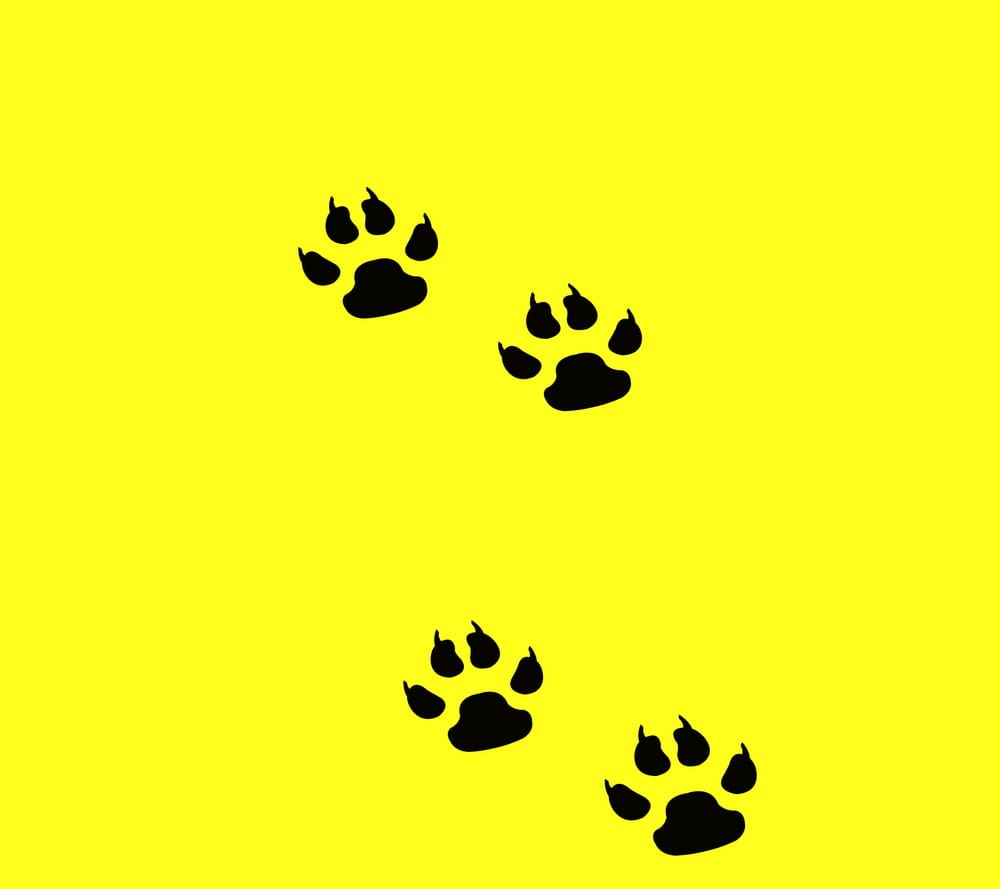 Обои