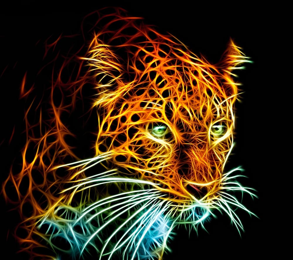 Обои