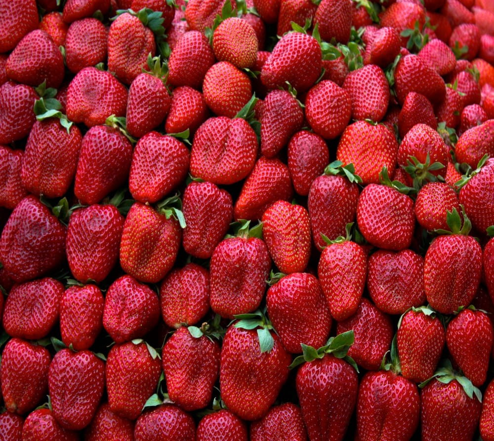 Обои