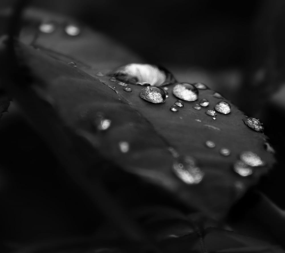 Обои