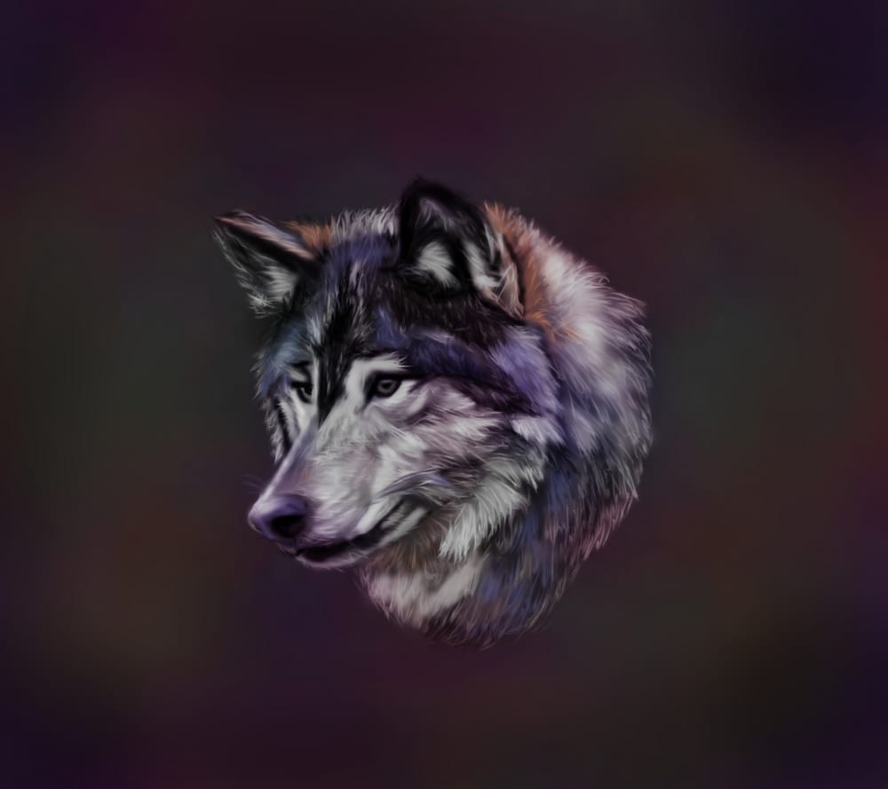 Обои