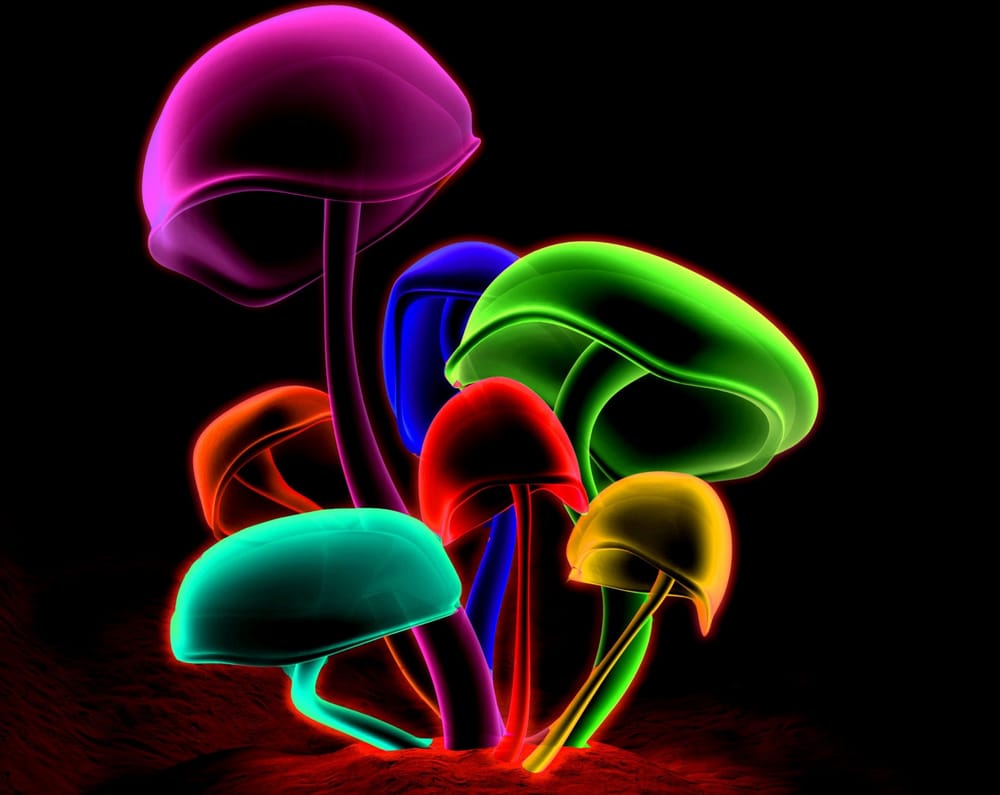 Обои