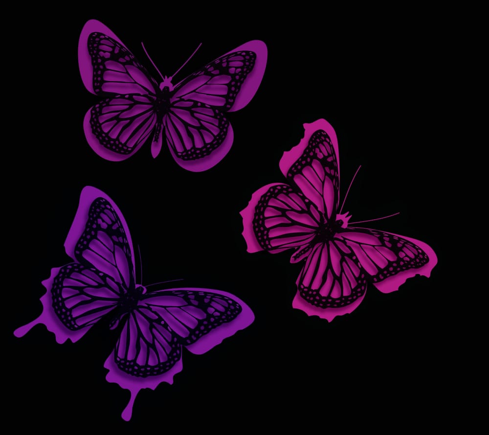 Обои