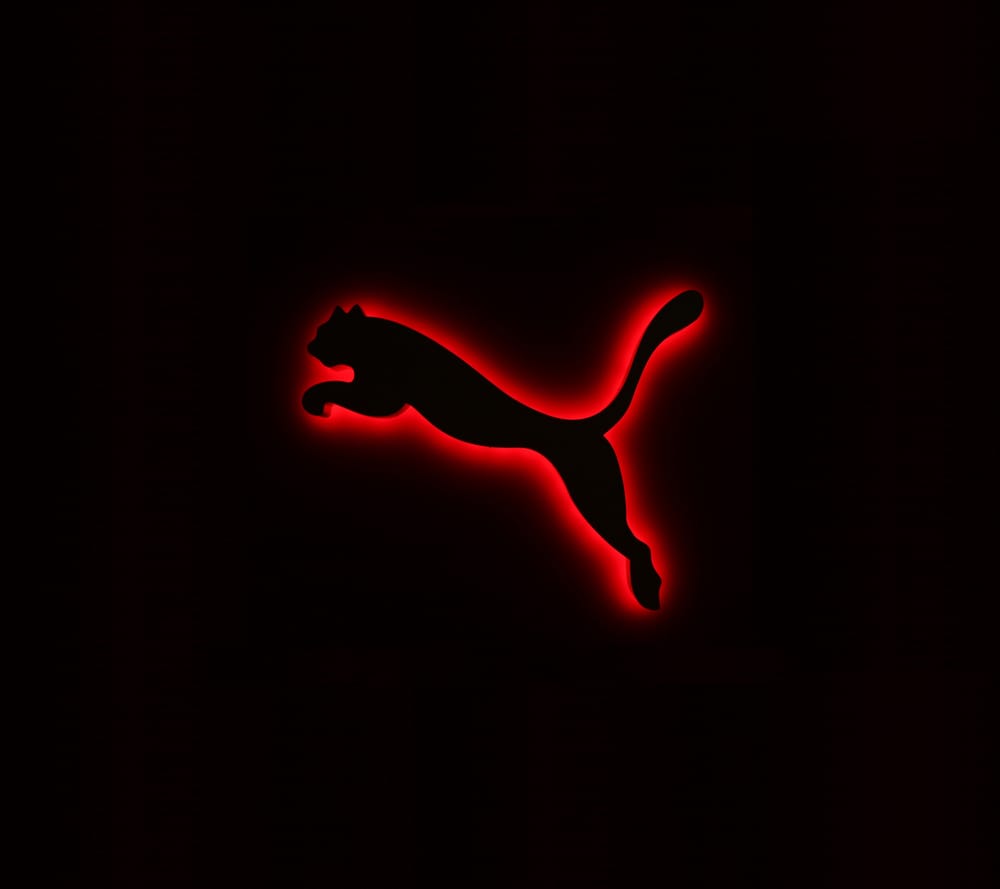 Обои