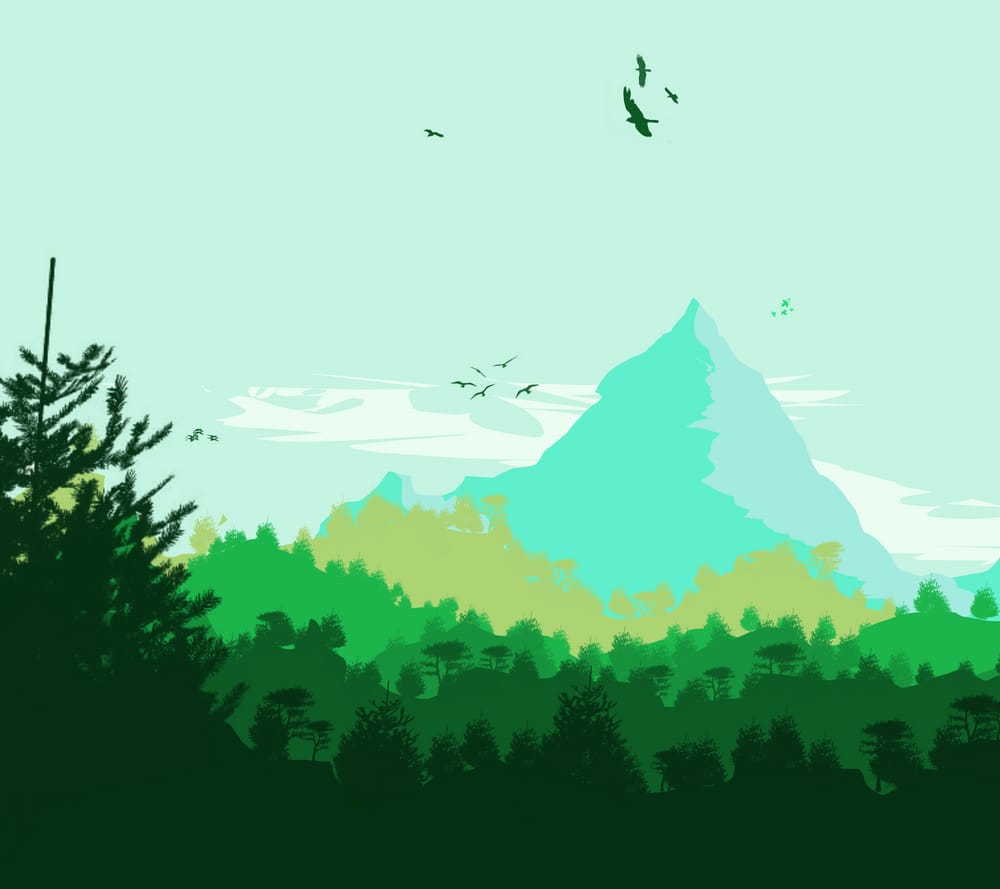 Обои