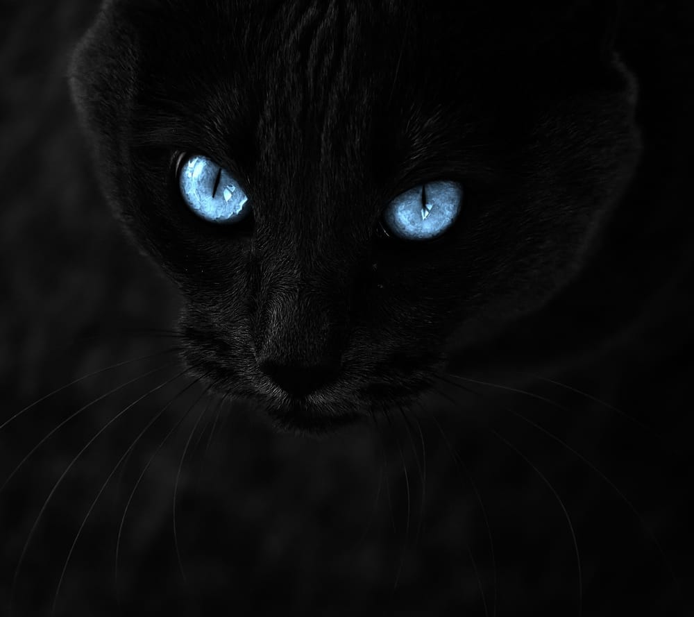Обои
