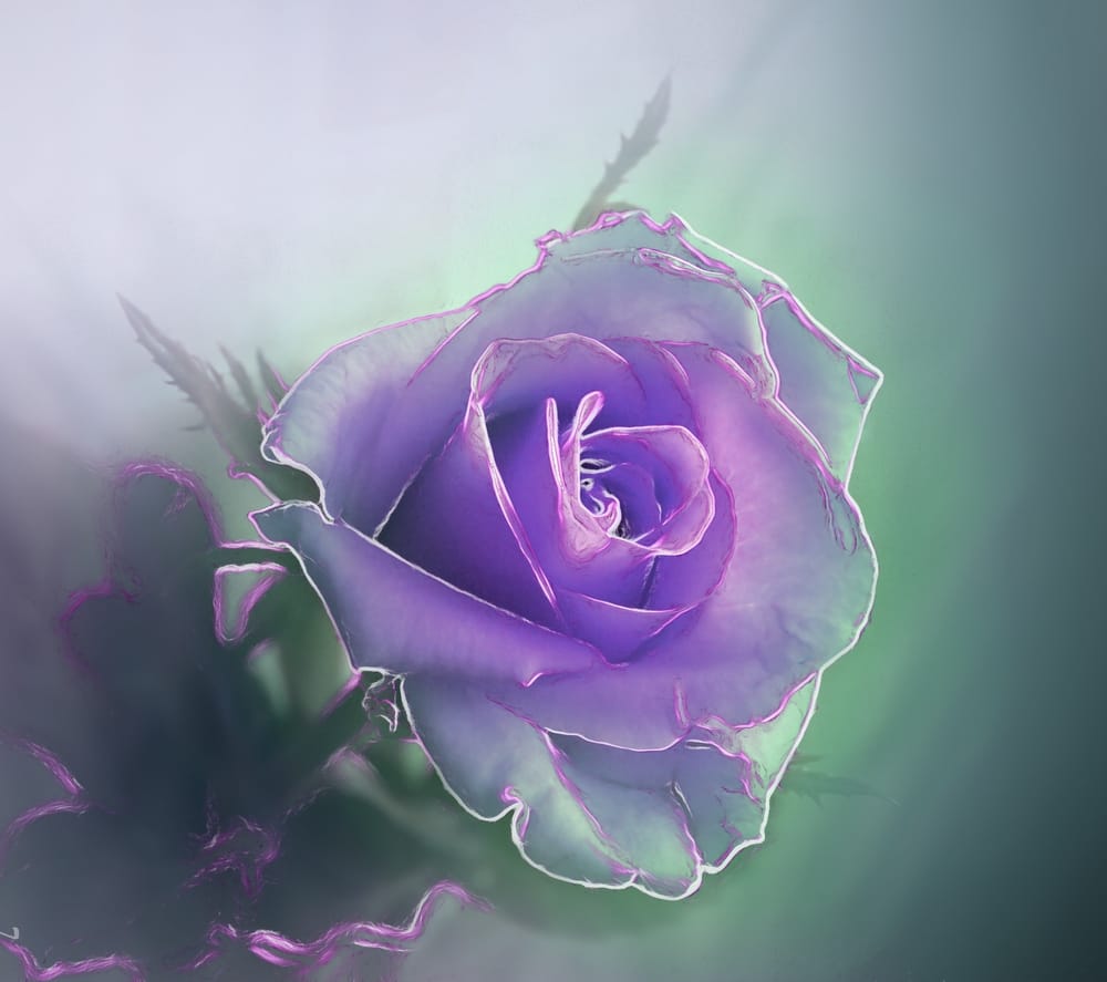 Обои