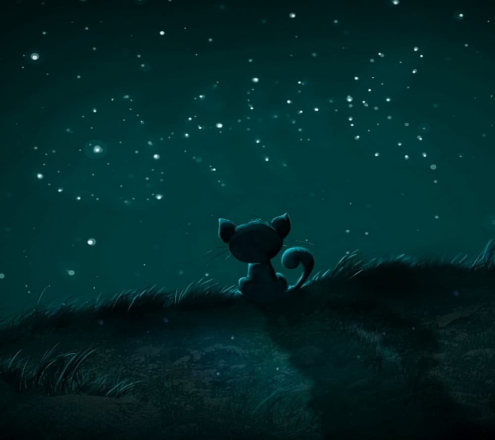 Обои