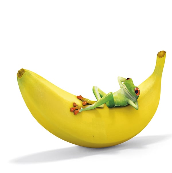 Обои