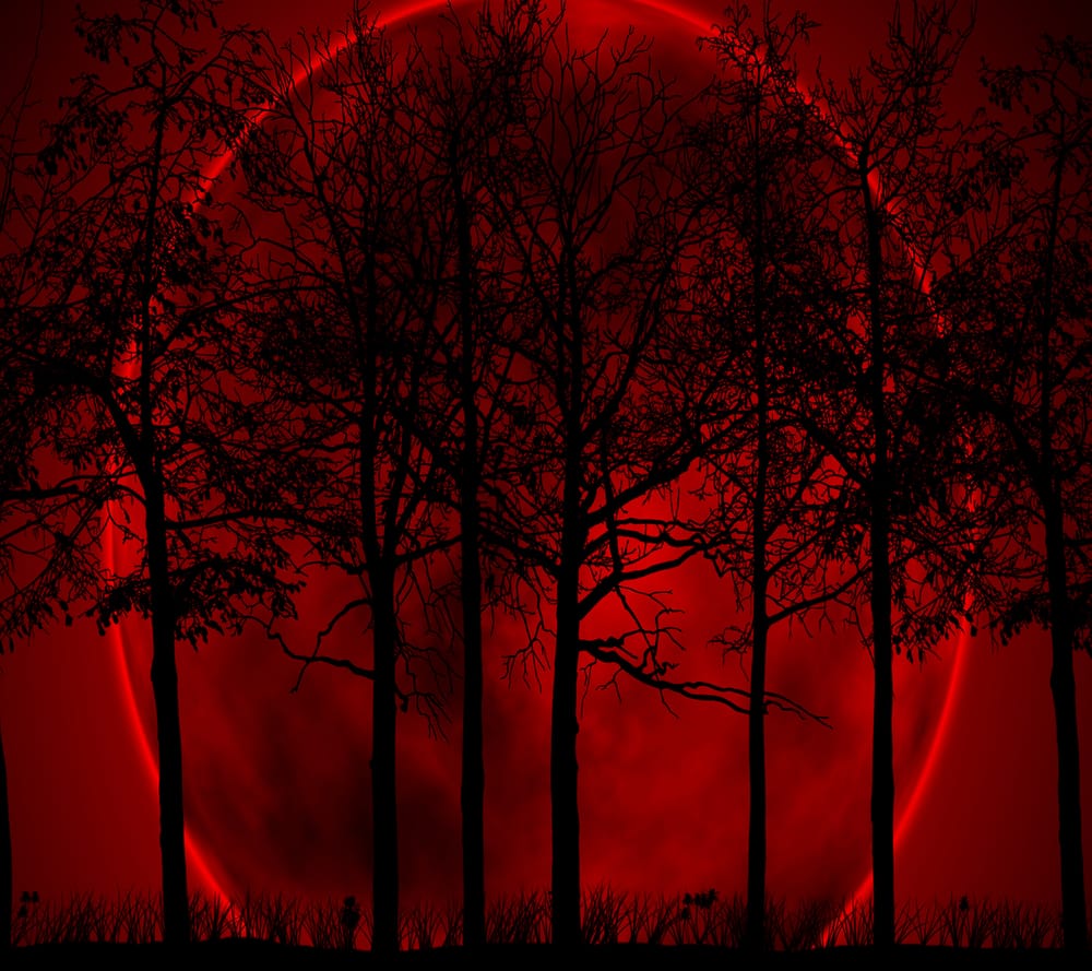 Обои