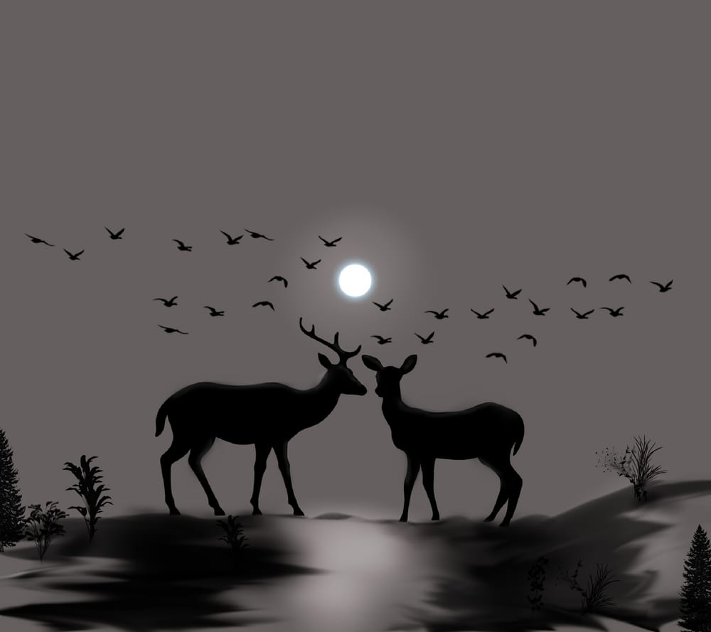 Обои