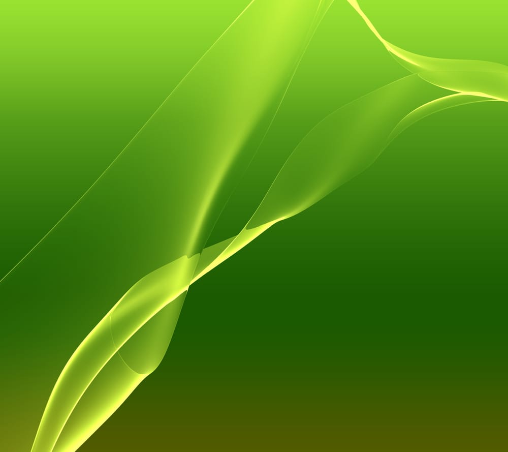 Обои