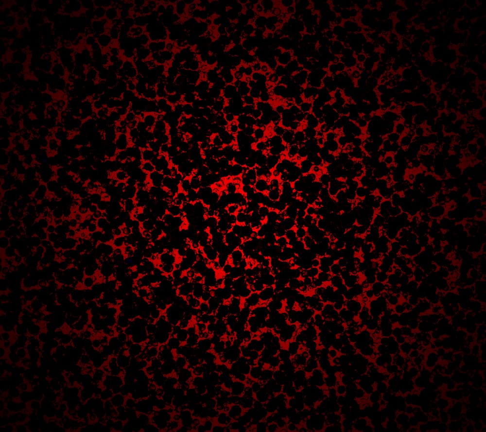 Обои