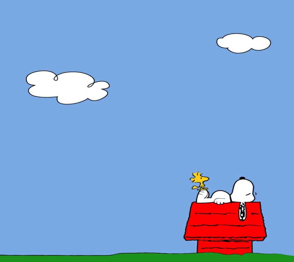 Обои