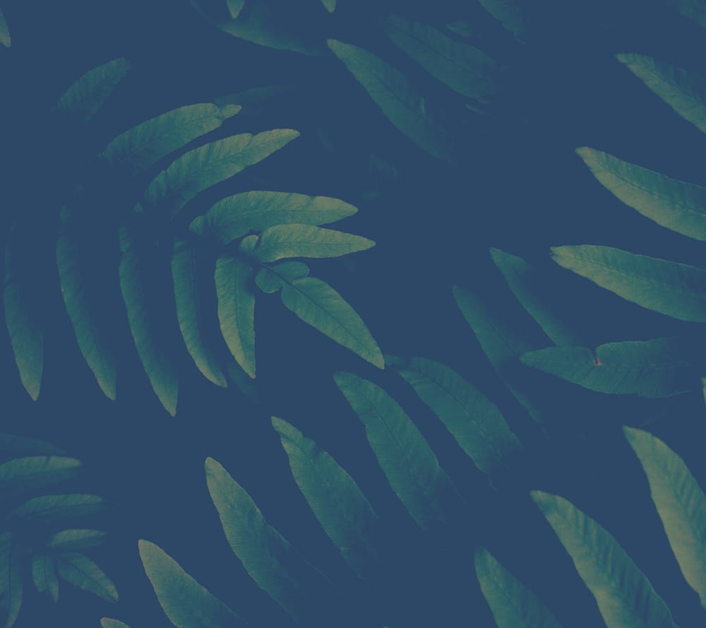 Обои