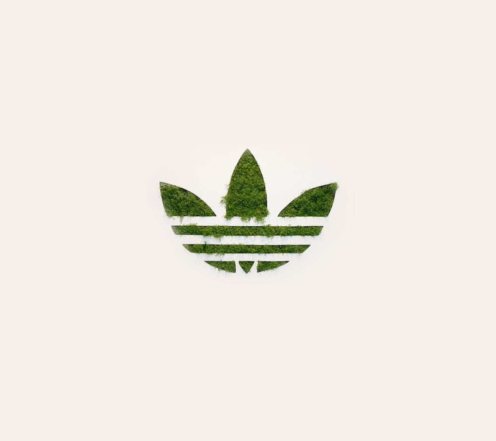 Обои