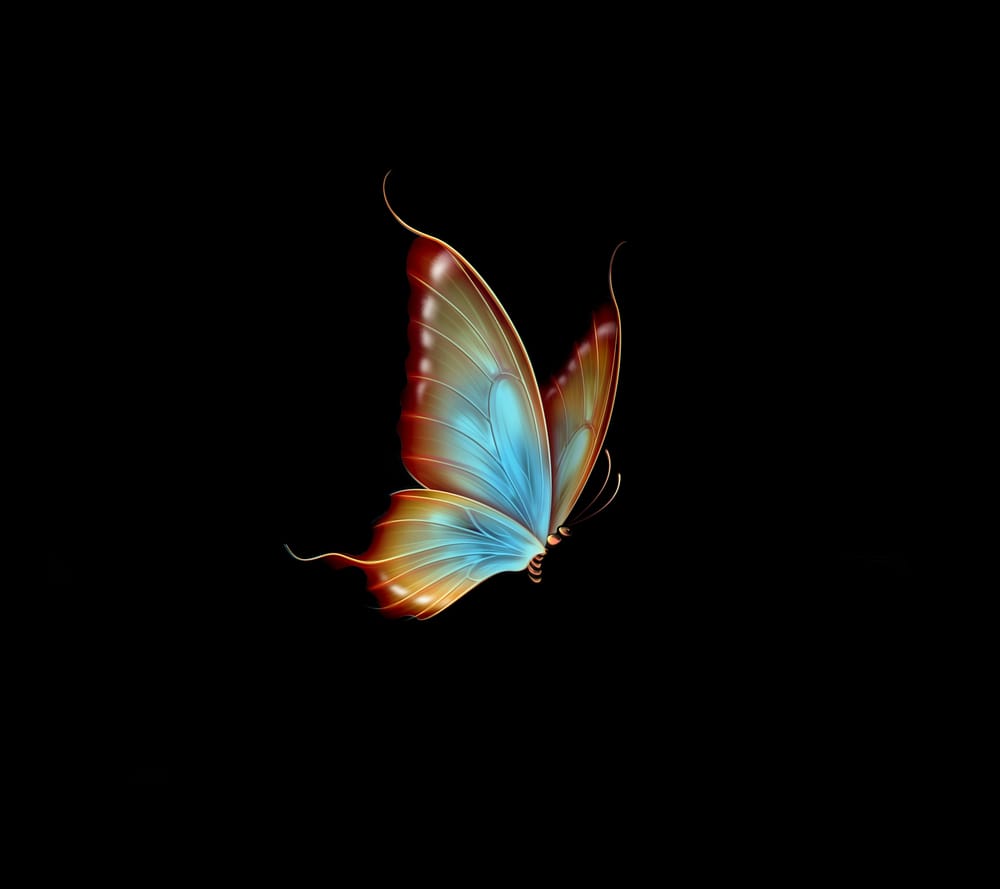 Обои